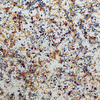 The Petals Are Naturally Combined with The PET Felt Acoustic Panel