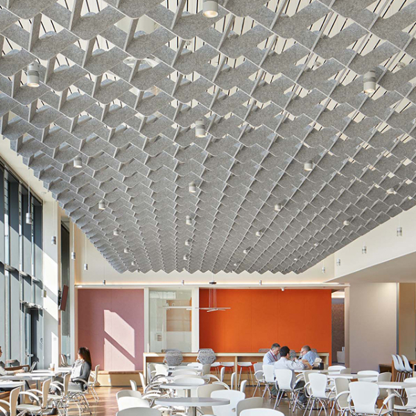 Product Overview of Acoustic Ceilings